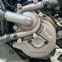 Mulitstrada V2 950 Secondary Engine Cover Set 2021-2023