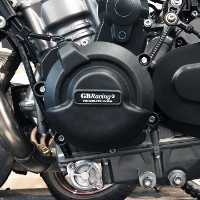 Duke 890/R Secondary Engine Cover SET 2020-2022
